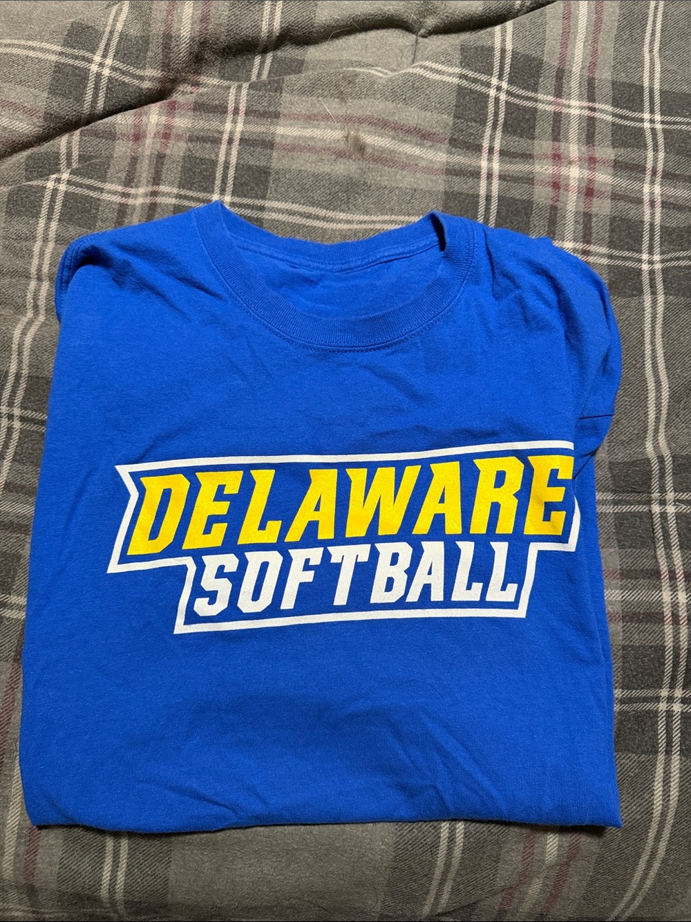 Source Unknown Blue Delaware Softball Tee with Yellow and White Logo